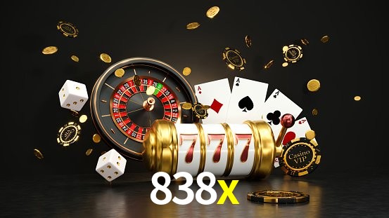 Statistics 838x