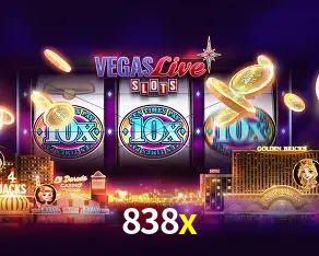 838x Rio de Janeiro - Bonus Terms